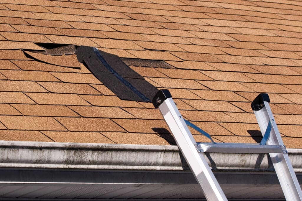 Four Reasons for Roof Repair this Fall