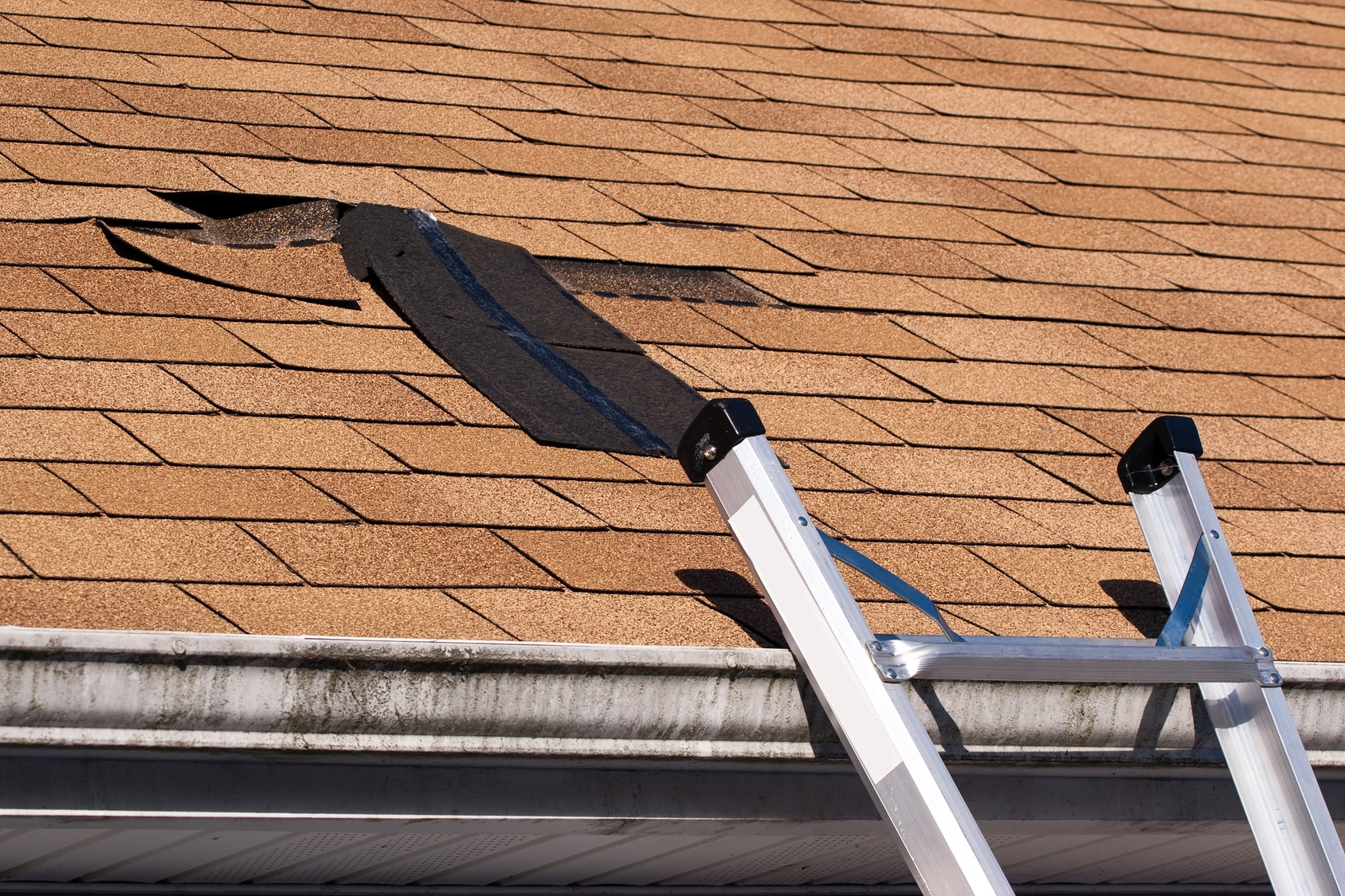 You are currently viewing Four Reasons for Roof Repair this Fall