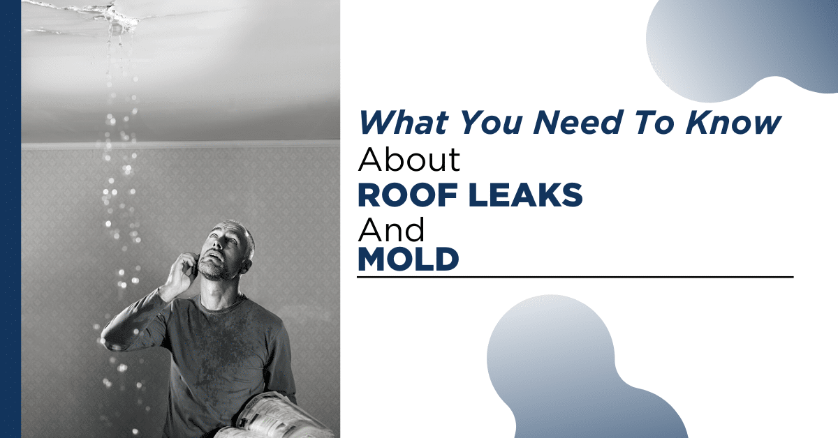 What You Need To Know About Roof Leaks And Mold