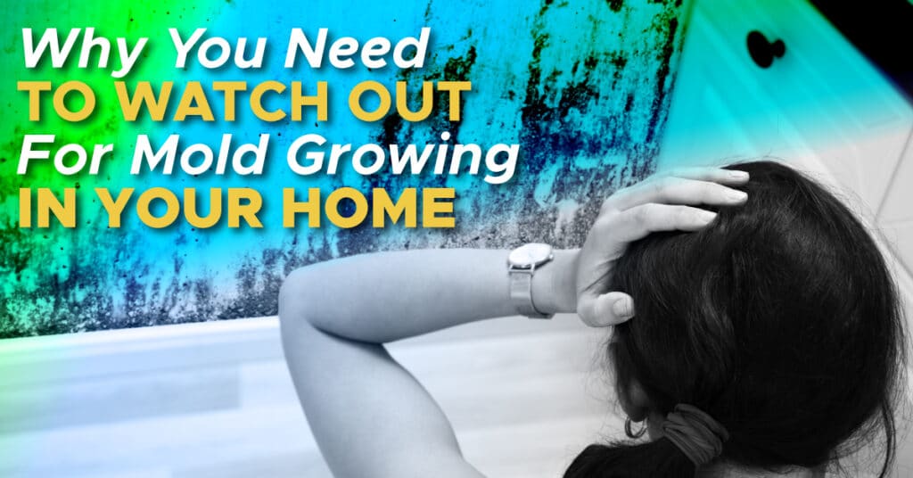 Why You Need To Watch Out For Mold Growing In Your Home