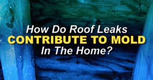 moldy wall with the caption How Do Roof Leaks Contribute To Mold In The Home?
