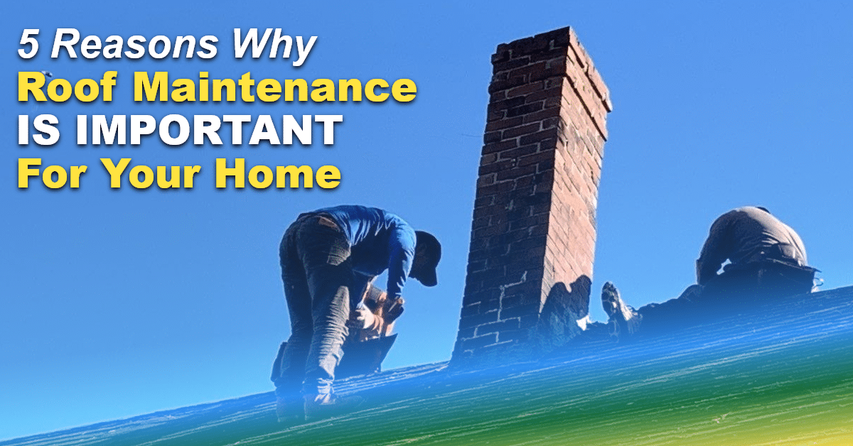 Read more about the article 5 Reasons Why Roof Maintenance Is Important For Your Home