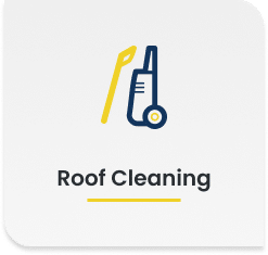 roof-cleaning-btn