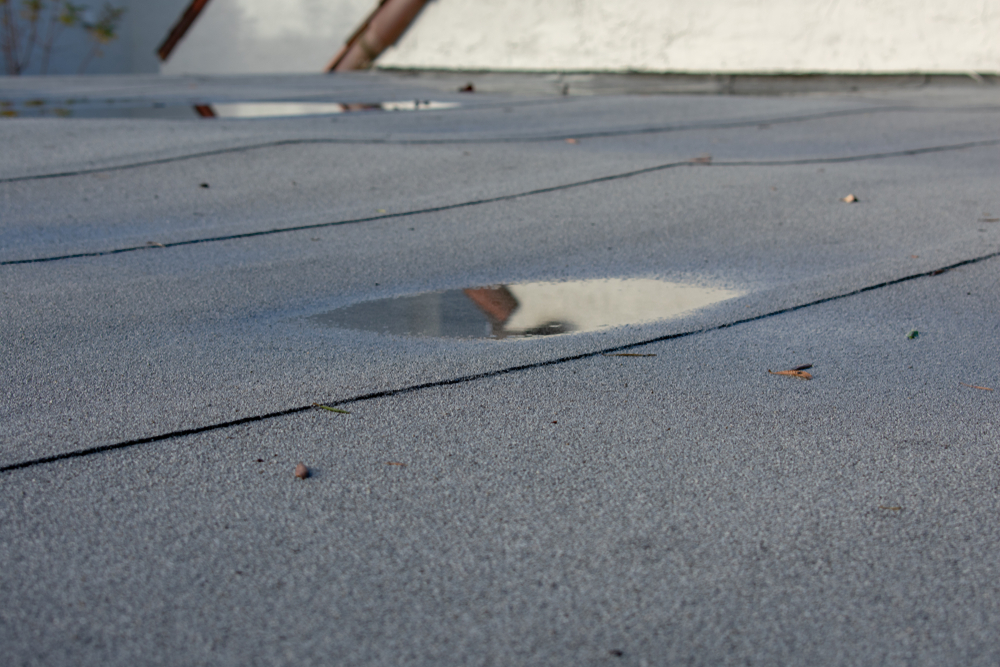 Signs of roof sagging
