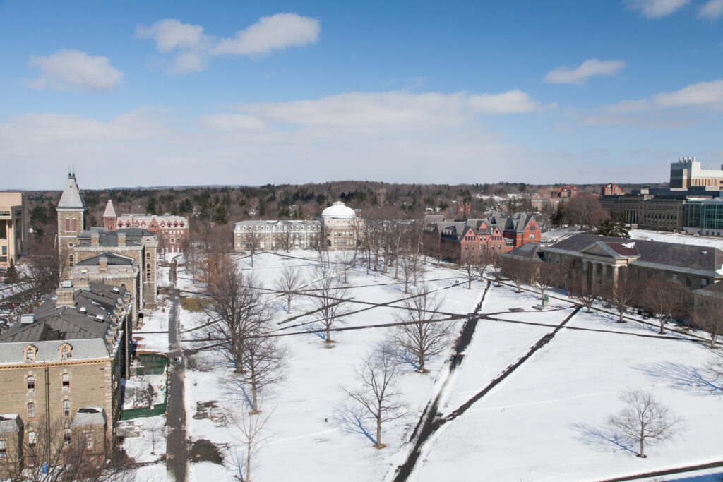 Snowy Campus