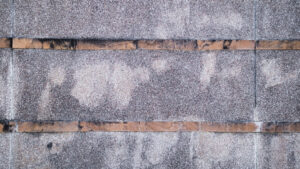 Roof mold causes
