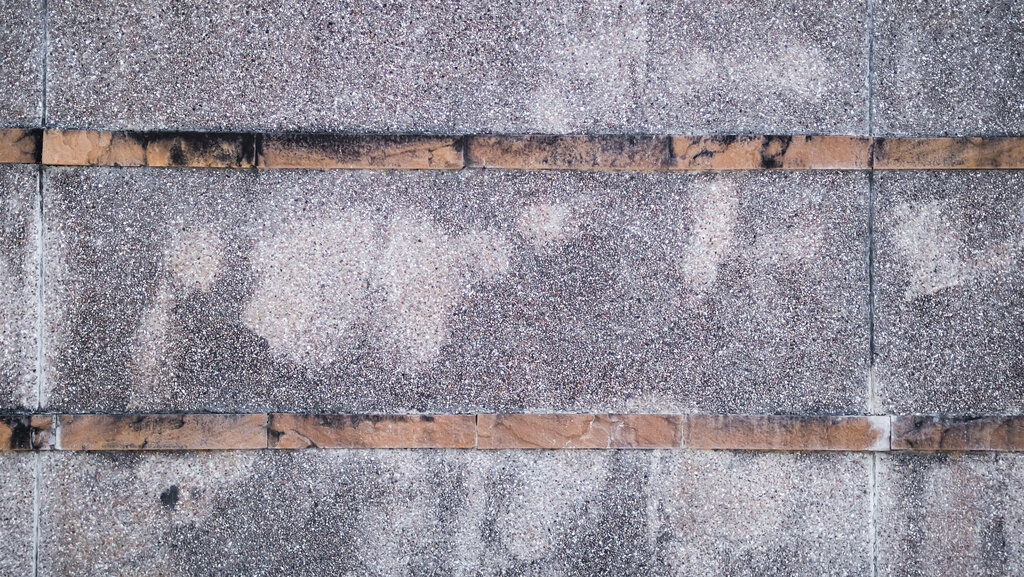 Roof Mold: What Causes It, How Dangerous Is It, and What to Do